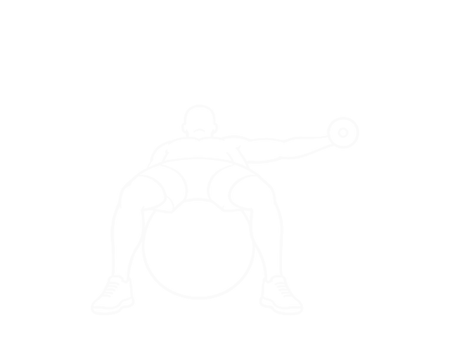 Incline One-Arm Dumbbell Fly on Exercise Ball — End