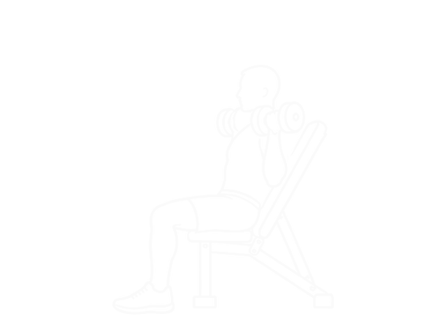 Incline Dumbbell Shoulder Press — Start
