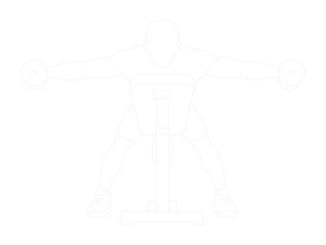 Incline Dumbbell T-Raise — 끝
