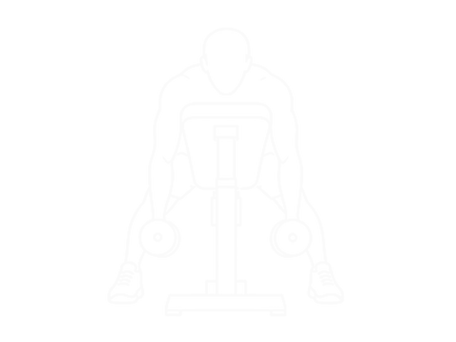 Incline Dumbbell T-Raise — 시작