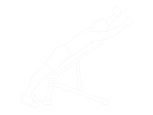 Incline Dumbbell Y-Raise — 끝