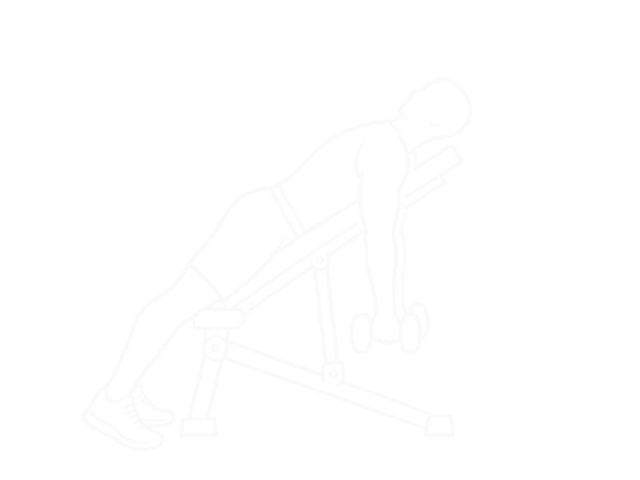 Incline Dumbbell Y-Raise — 시작