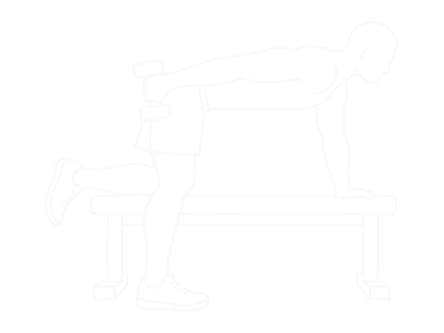 Dumbbell Kickback — 끝