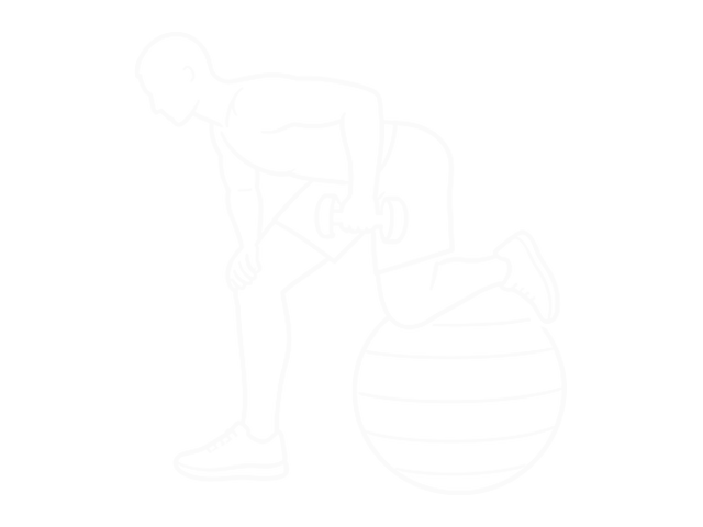 Dumbbell Kickbacks on Exercise Ball — 시작