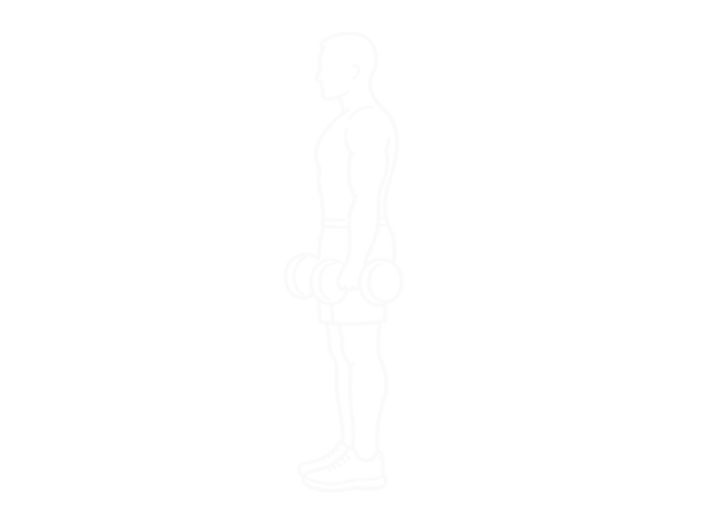 Dumbbell Lunge with Biceps Curl — Start