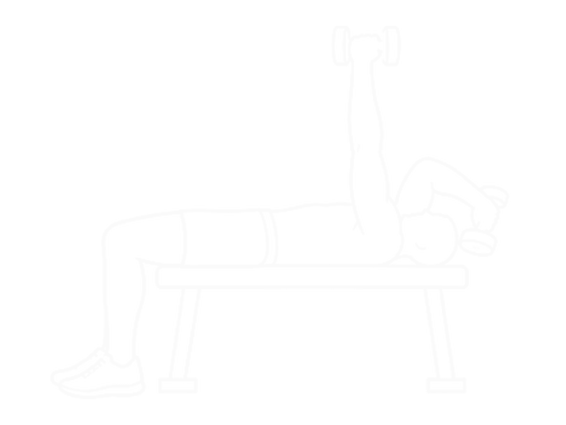 Lying Dumbbell Alternate Extension — End