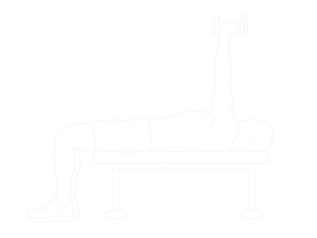 Lying Dumbbell Extension (Across Face) — End