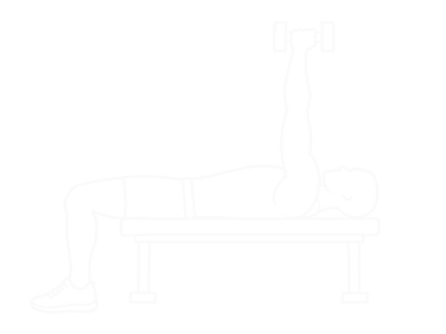 Lying One-Arm Dumbbell Supinated Triceps Extension — 끝