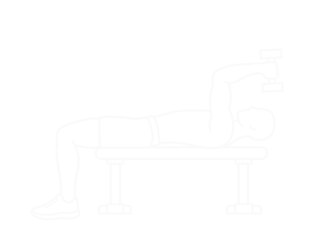 Lying Dumbbell Pronation — End