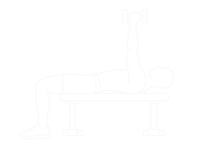 Lying Dumbbell Pronation — Start