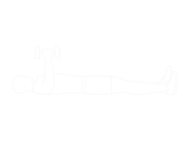 Lying Dumbbell Pronation on Floor — Start