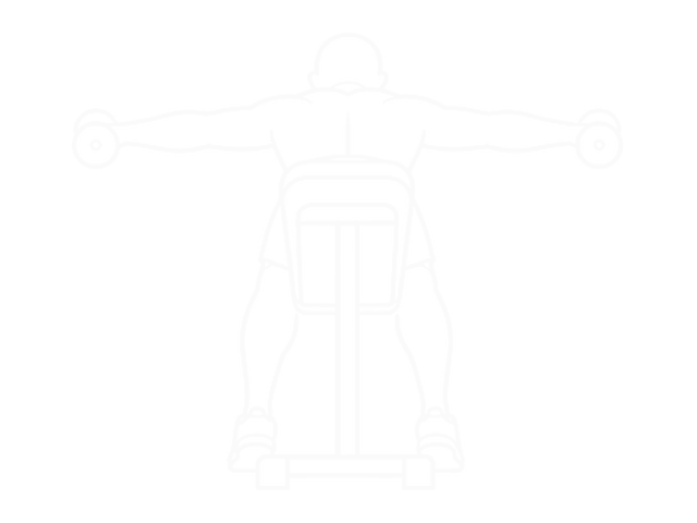 Lying Dumbbell Rear Lateral Raise — End