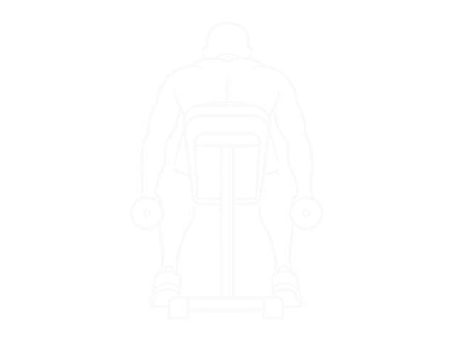 Lying Dumbbell Rear Lateral Raise — Start