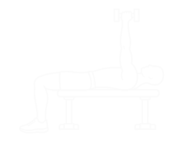 Lying Dumbbell Supination — Start