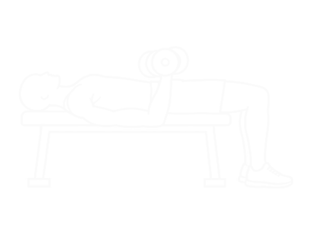Lying Dumbbell Supine Curl — End