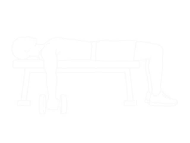 Lying Dumbbell Supine Curl — Start