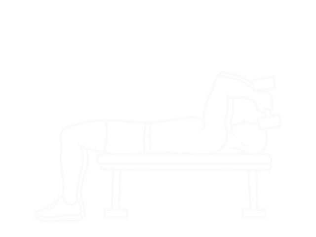 Lying Dumbbell Triceps Extension — Start