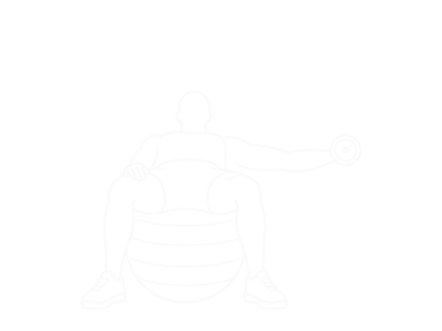 One-Arm Dumbbell Fly on Exercise Ball — 끝