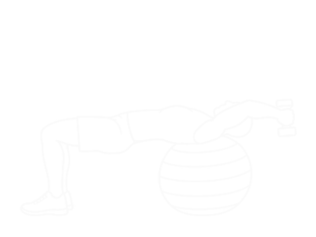 One-Arm Dumbbell Pullover on Exercise Ball — 끝