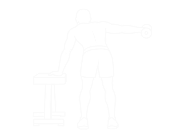 One-Arm Dumbbell Reverse Fly (With Support) — End