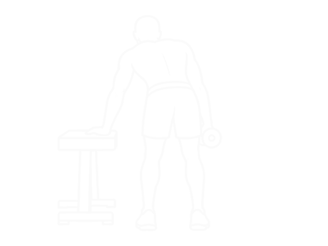 One-Arm Dumbbell Reverse Fly (With Support) — Start