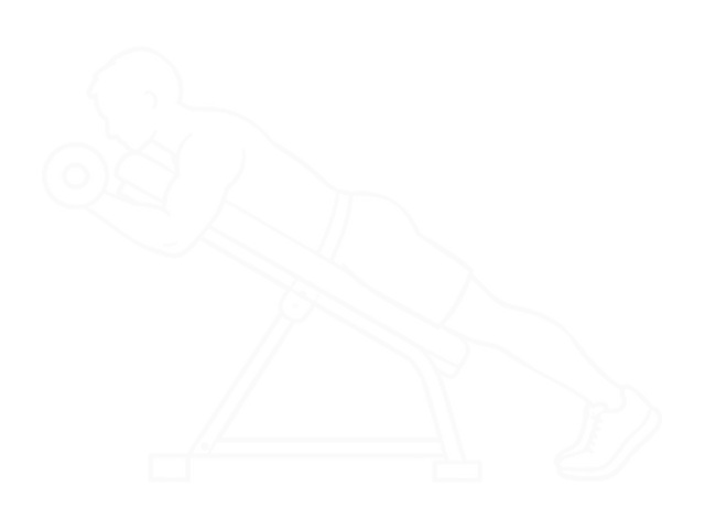 One-Arm Dumbbell Reverse Spider Curl — 끝