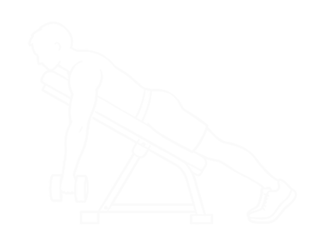One-Arm Dumbbell Reverse Spider Curl — 시작