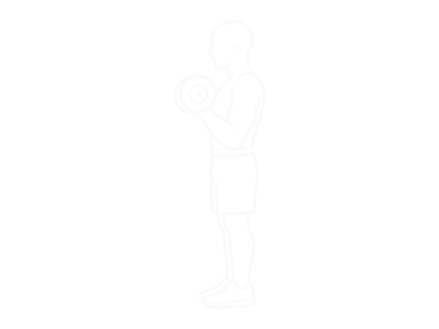 Standing One-Arm Dumbbell Curl — End