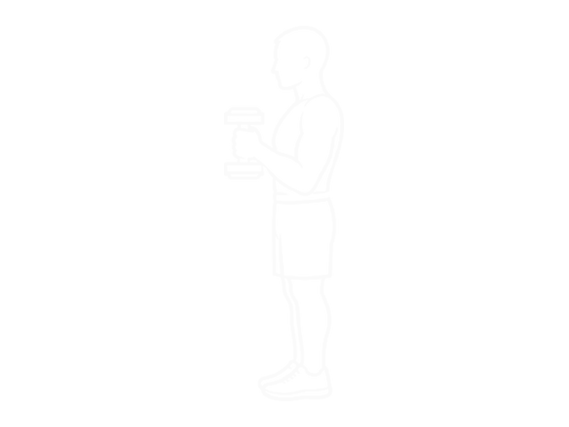 Standing One-Arm Dumbbell Hammer Curl — 끝