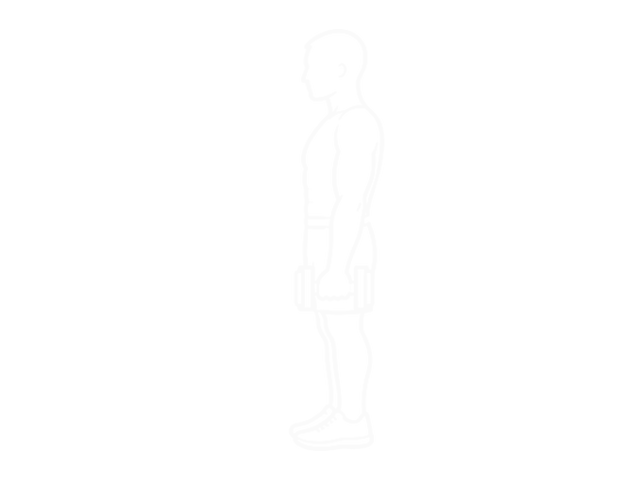 Standing One-Arm Dumbbell Hammer Curl — 시작