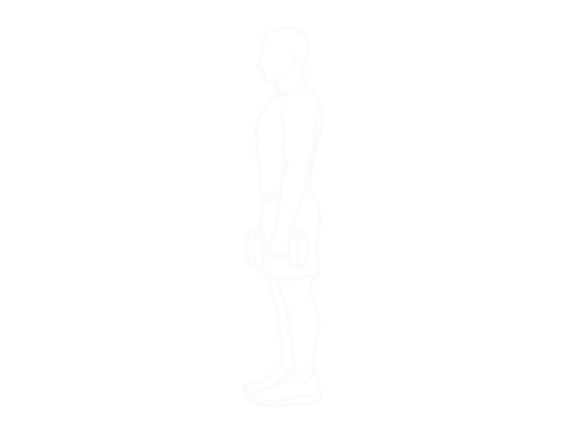 One-Arm Dumbbell Upright Row — Start