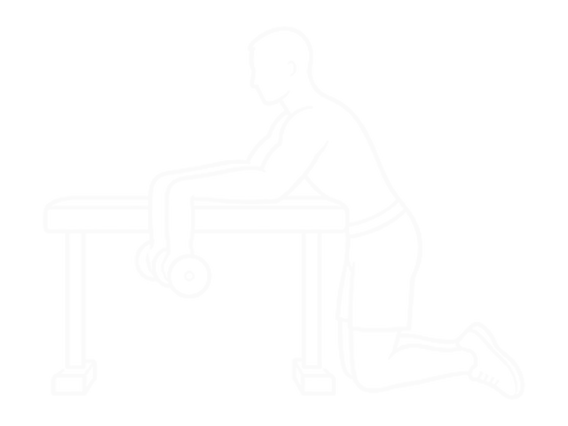 Dumbbell Over Bench Neutral Wrist Curl — 시작