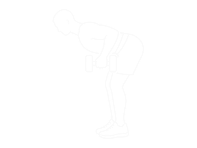 Dumbbell Palm Rotational Bent Over Row — End