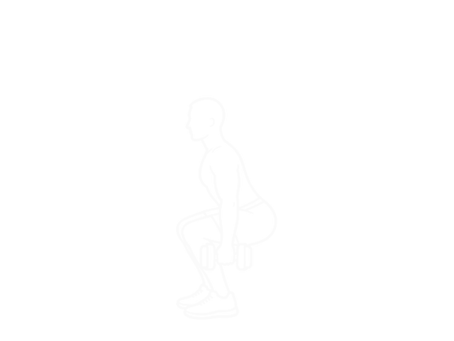 Dumbbell Plyo Squat — Start