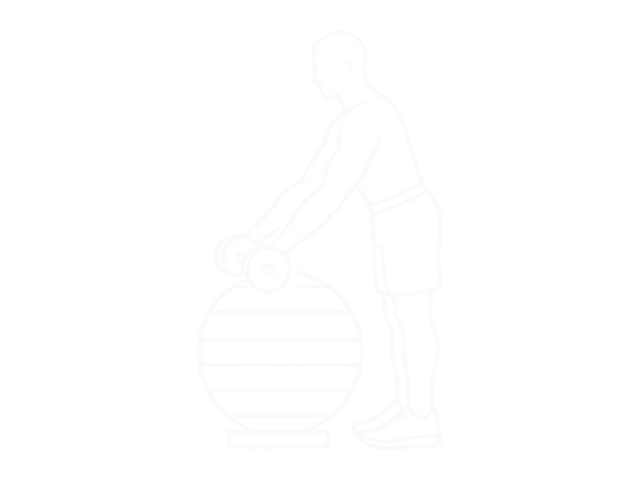 Dumbbell Preacher Curl Over Exercise Ball — 시작