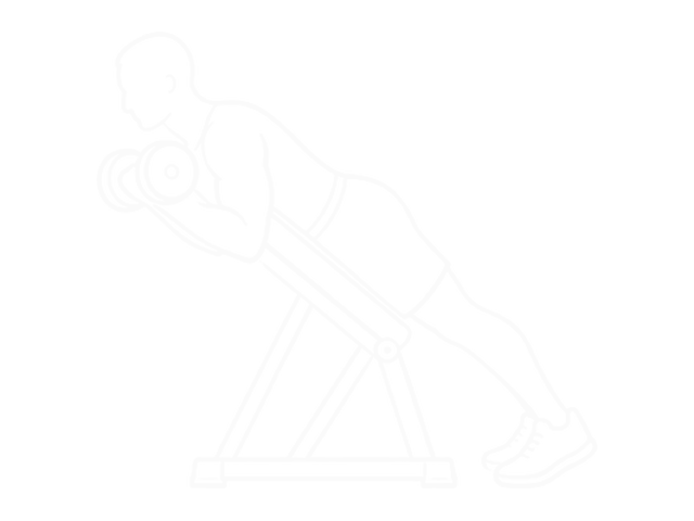 Prone Incline Dumbbell Curl — End