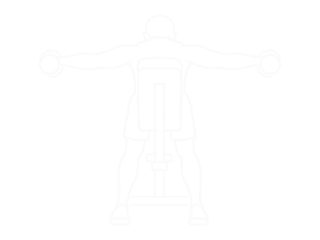 Dumbbell Rear Delt Raise — 끝
