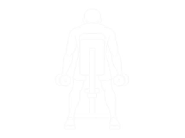 Dumbbell Rear Delt Raise — 시작