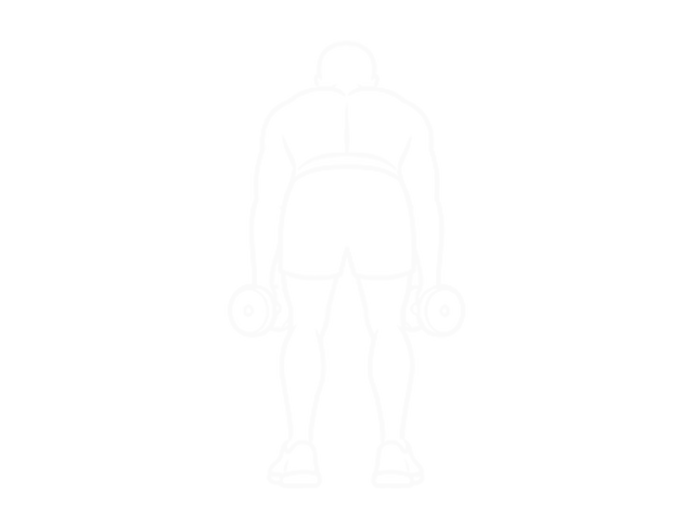 Dumbbell Rear Fly — Start
