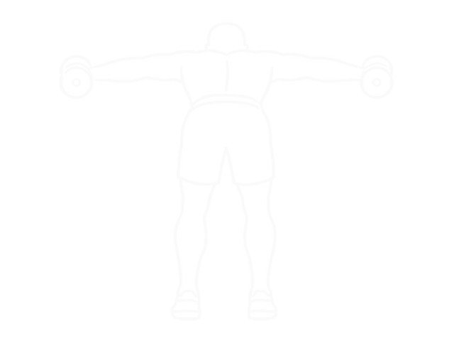 Dumbbell Reverse Fly — End