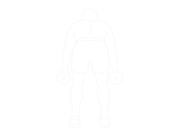 Dumbbell Reverse Fly — Start