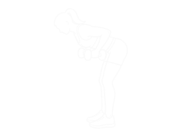 Dumbbell Reverse-Grip Row — 끝