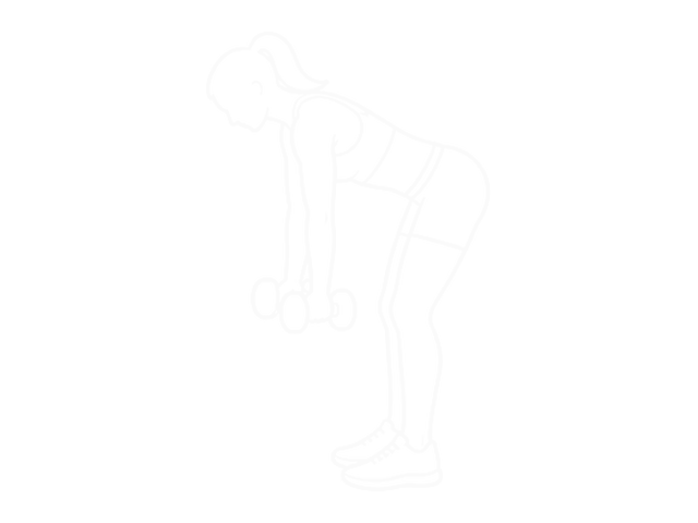 Dumbbell Reverse-Grip Row — 시작