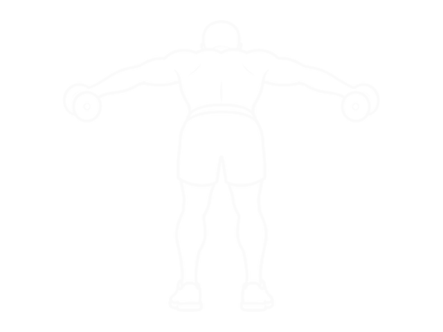Dumbbell Rotation Reverse Fly — End