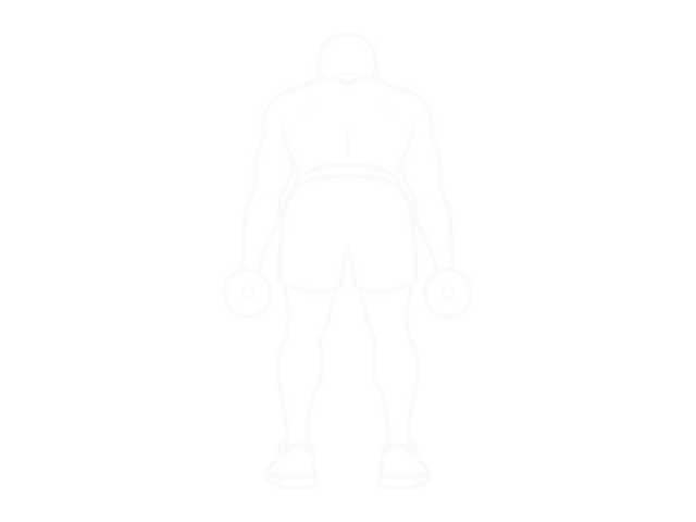 Dumbbell Rotation Reverse Fly — Start
