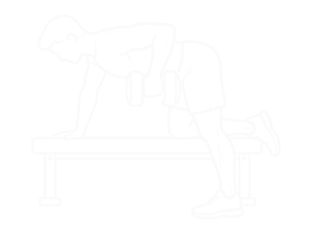 Dumbbell Row — End