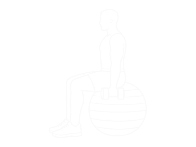 Seated Dumbbell Alternate Hammer Curl on Exercise Ball — Start