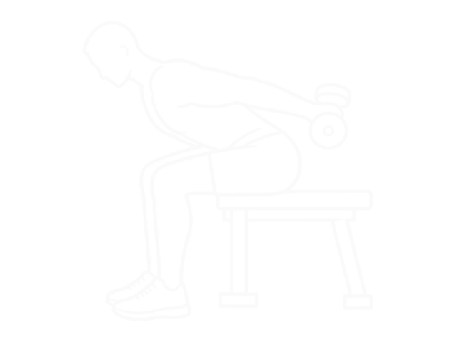 Seated Dumbbell Bent Over Alternate Kickback — End