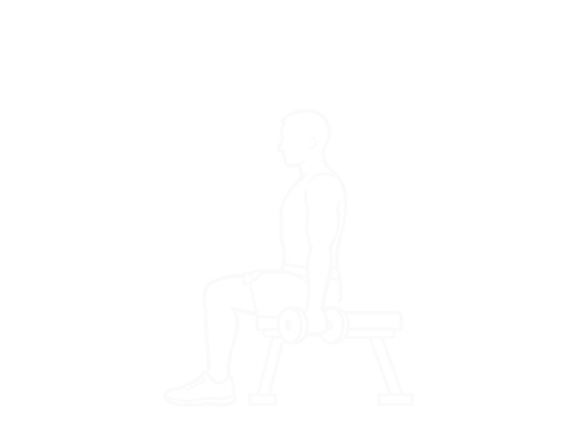 Seated Dumbbell Biceps Curl to Shoulder Press — Start