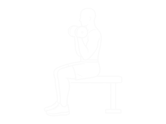 Seated Dumbbell Curl — End